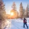 The 6 must-see activities to do winter in Finnish Lapland