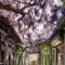 23 of the most beautiful shaded streets