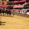 Palio de Siena 2019: how to see the famous horse race?