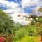 7 places to make canyoning in Martinique