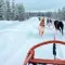 12 places to do sled dog in the Jura