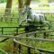 Spreepark, an abandoned amusement park in Berlin