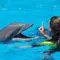 Swimming with dolphins and go to Aquaventure Water Park in Dubai