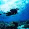 The 10 best dive spots in France