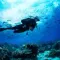 The 13 best diving spots in the world