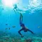 The 11 best dive and snorkeling spots in Mallorca