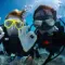 The 11 best dive spots in Marseille and its surroundings