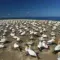 Cape Kidnappers Crazy Colony in New Zealand