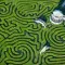 The vegetal labyrinth of Longleat