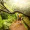 The 10 most beautiful hikes to make in Madeira • Wanderlix