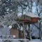 The 10 most beautiful huts in trees in Normandy