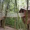 The 9 most beautiful huts in the trees in Brittany