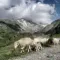 The 9 most beautiful places to visit in the Pyrenees National Park