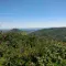 The 4 most beautiful hikes to do around Puy Mary