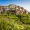 The 10 things to do in Corniglia