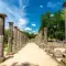 The 8 things to do in Olympie • Wanderlix