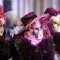 5 things you didn't know about the Carnival of Venice