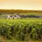 8 unusual weekends in Burgundy