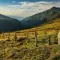 Luxuriant transfer to Los Nevados Park in Colombia