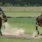 Visit an Argentine ranch with the gauchos from Buenos Aires