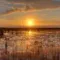 Visit Everglades from Miami: tickets, prices, schedules