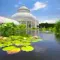 Visit the botanical garden of New York: tickets, prices, schedules