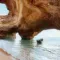 Visit the caves of Benagil, the jewel of the Algarve