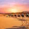 Visit the Sahara desert on the back of Méhari: reservation & prices