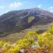 Visit the Piton de la Fournaise • Wanderlix