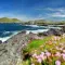 Visit the Year of Kerry from Cork: reservations