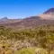 Visit the Teide National Park in Tenerife: tickets, prices, schedules