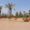 Visit the Marrakech Palmeraie: tickets, prices, schedules