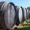 Visit the vineyards of Armagnac: a complete guide