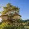 We found the cabins in the coolest trees of Airbnb